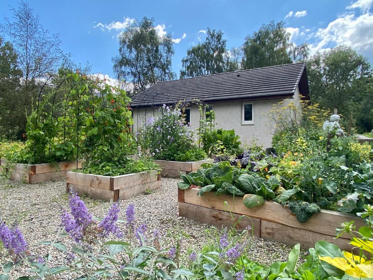 Homestead Cottage, Форт Аугустус Екстериор снимка