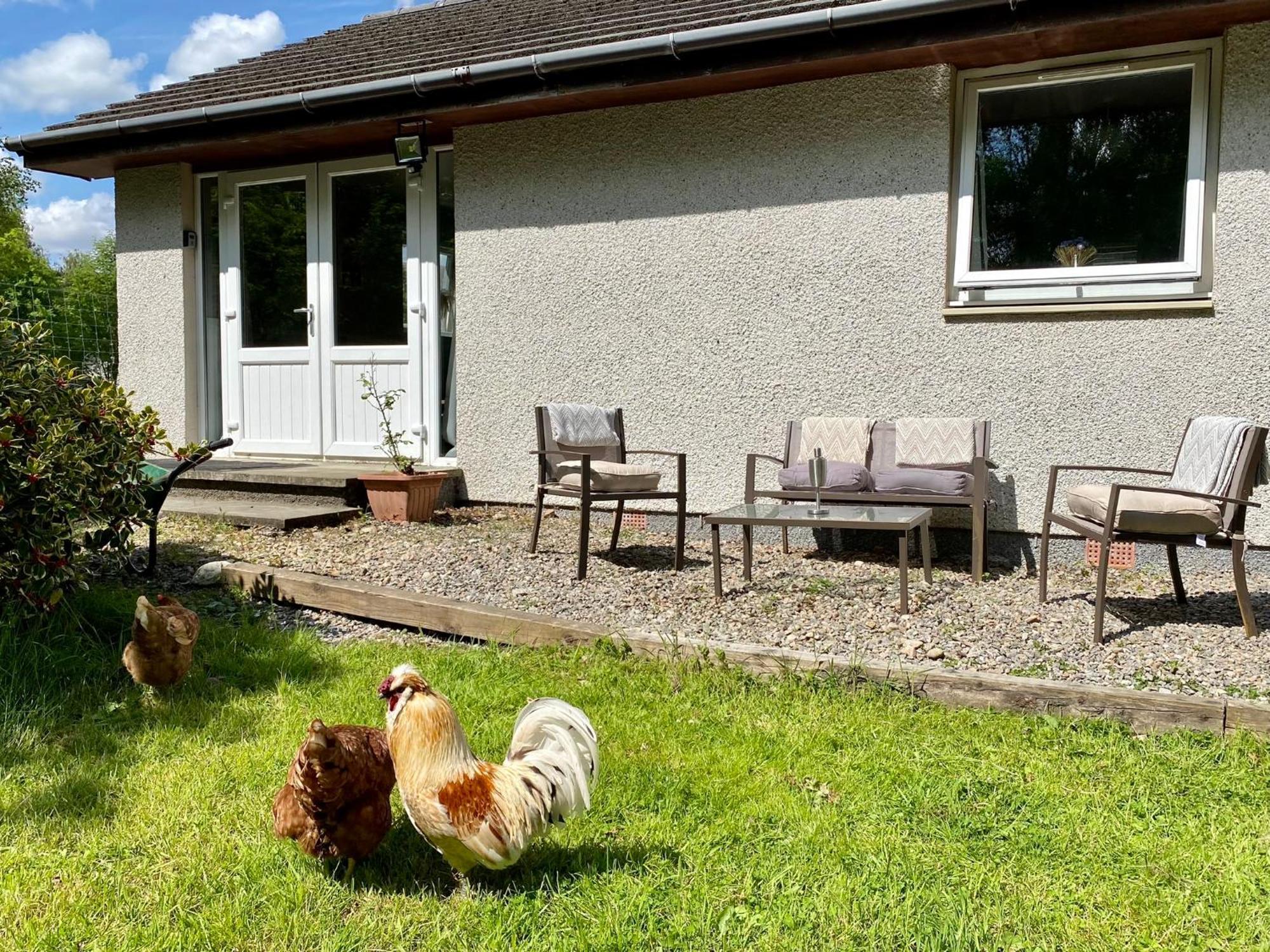 Homestead Cottage, Форт Аугустус Екстериор снимка
